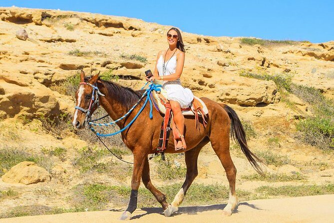 Horseback Riding Tour in Los Cabos - A Complete Look at the Horseback Riding Tour