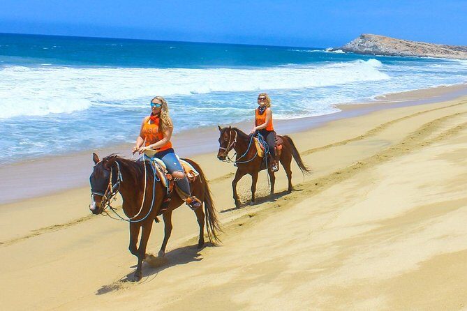 Horseback Riding Tour in Los Cabos - What the Reviews Tell Us