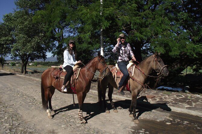 Horseback Riding Tour in The Agave Field with Lunch - Who Will Love This Tour?