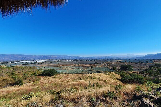 Horseback Riding Tour in The Agave Field with Lunch - FAQ