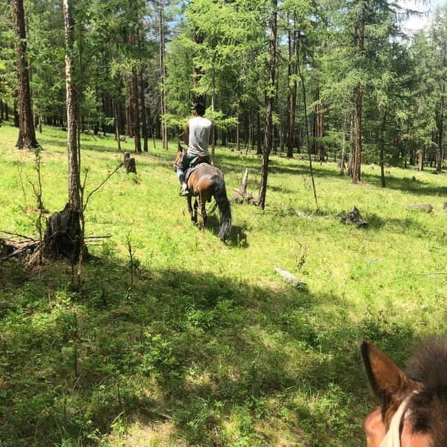 Horseback Riding Tour to Turtle Rock & Aryabal - What Makes This Tour Stand Out