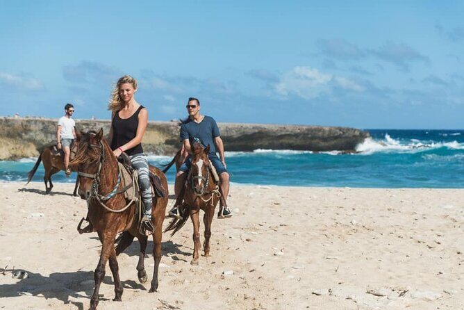 Horseback Riding Wariruri Beach Tour in Aruba - An Honest Look at the Horseback Riding Experience
