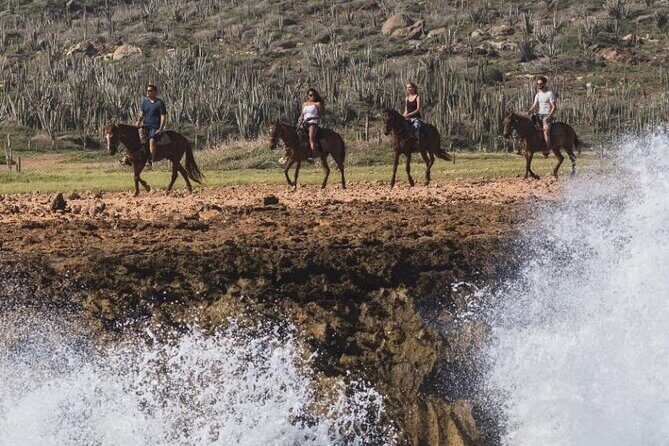 Horseback Riding Wariruri Beach Tour in Aruba - Who Will Love This Tour?