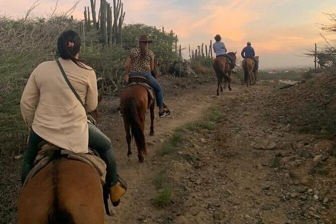 Horseback Riding Wariruri Beach Tour in Aruba - Final Thoughts