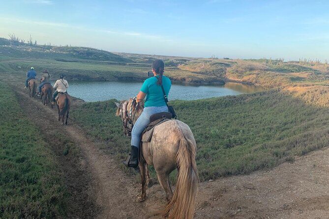Horseback Riding Wariruri Beach Tour in Aruba - FAQ