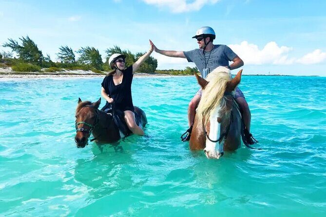 Horseback Riding with Pickup and Drop-off from Sharm El Sheikh - Who Should Consider This Tour?