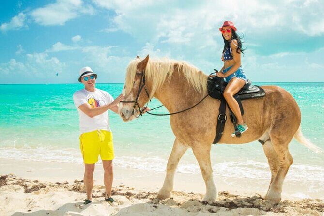 Horseback Riding with Pickup and Drop-off from Sharm El Sheikh - The Sum Up