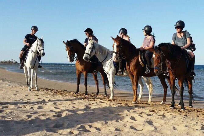 Horseback Riding with Pickup and Drop-off from Sharm El Sheikh - Frequently Asked Questions