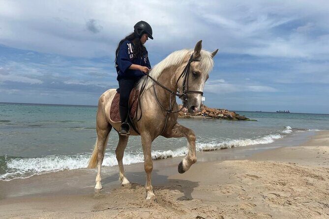Horseback riding with private transfer - An In-Depth Look at the Tour