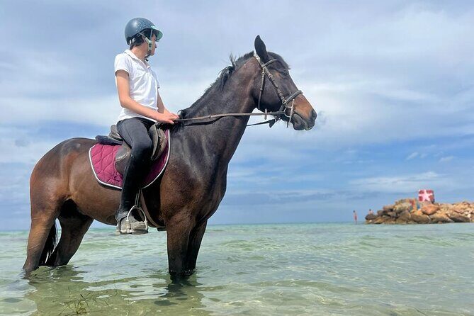 Horseback riding with private transfer - Who Is This Tour Best For?