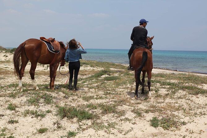 Horseback riding with private transfer - The Sum Up