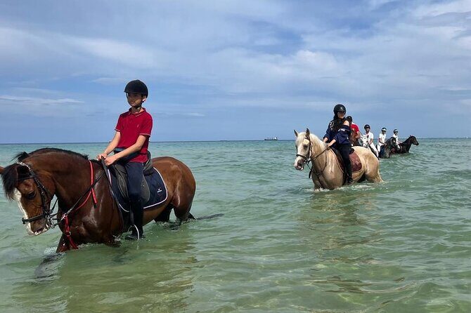 Horseback riding with private transfer - FAQ