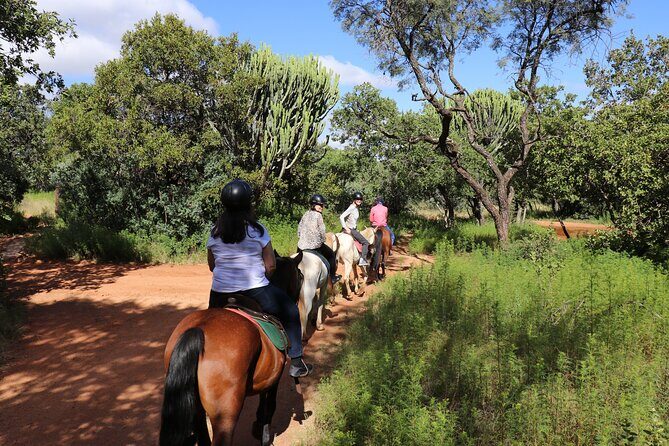 Horseback Safari Adventure in Hartbeespoort from Johannesburg - Starting in Johannesburg: Comfortable and Welcoming