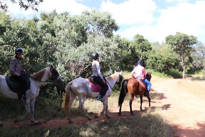 Horseback Safari Adventure in Hartbeespoort from Johannesburg - Wildlife Encounters: Up Close and Personal