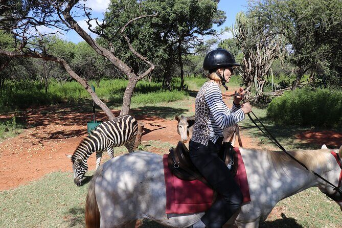 Horseback Safari Adventure in Hartbeespoort from Johannesburg - Practical Details: Transport, Cost, and Whats Included
