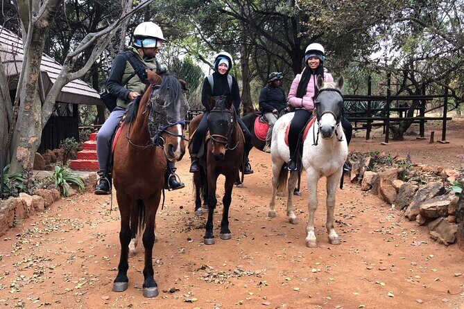 Horseback Safari & Cable Car Ride from Johannesburg - An In-Depth Look at the Tour Experience