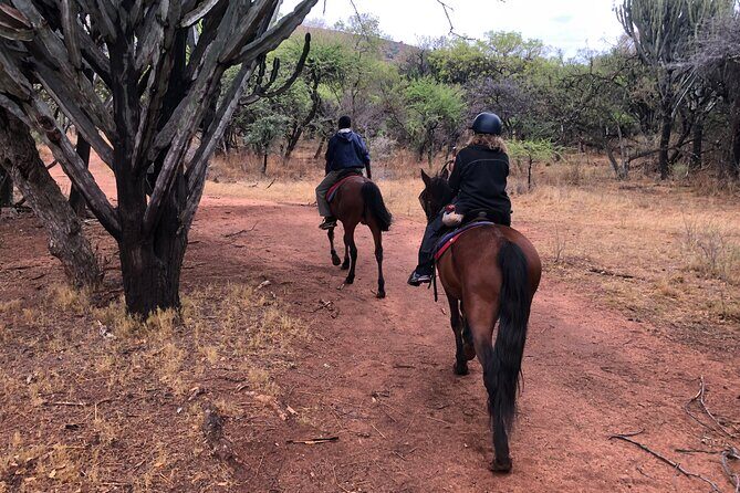 Horseback Safari & Cable Car Ride from Johannesburg - Final Thoughts: Is This Tour Worth Your Time?