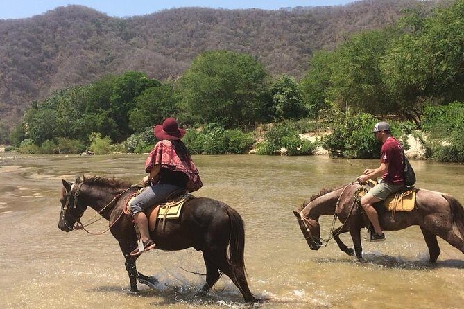 Horses on The Beach or Hot Springs - Key Points