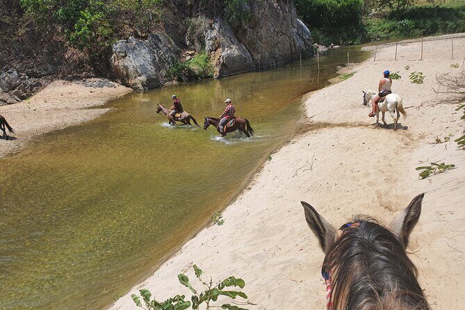 Horses on The Beach or Hot Springs - Exploring the Details of the Tour