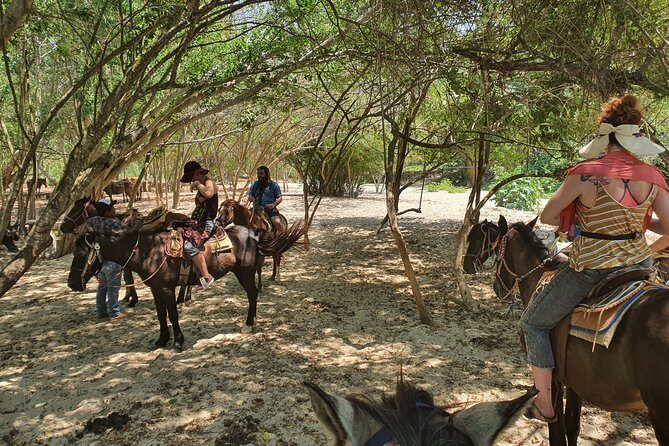 Horses on The Beach or Hot Springs - Final Thoughts: Is It Worth It?