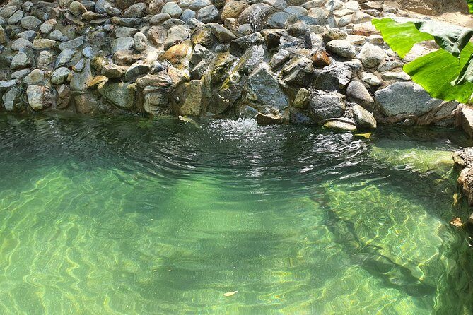 Horses on The Beach or Hot Springs - FAQ