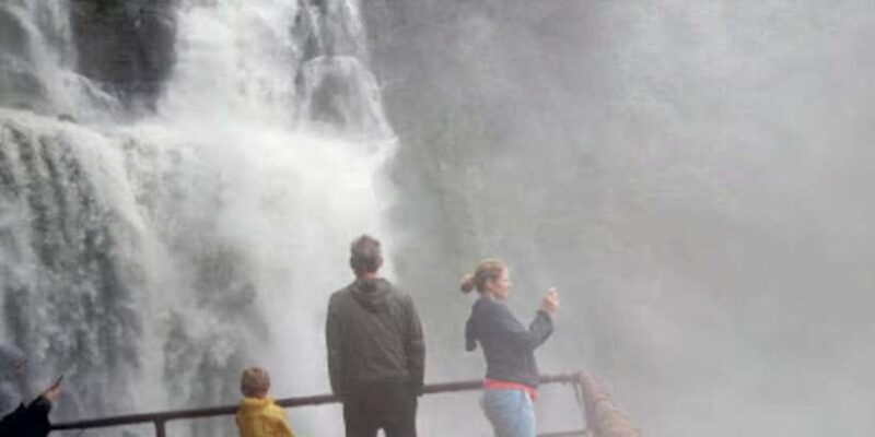 Horton plains: Discover real essence of central highland - A Closer Look at the Itinerary