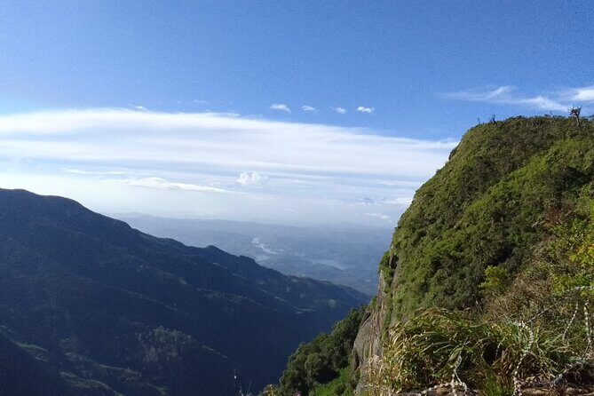Horton Plains-World's End Tour and Tea Factory Tour From Nuwaraeliya - Exploring the Itinerary: From Highland Trails to Tea Gardens