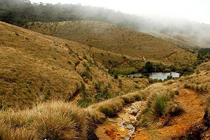 Horton Plains-World's End Tour From Nuwaraeliya - Key Points