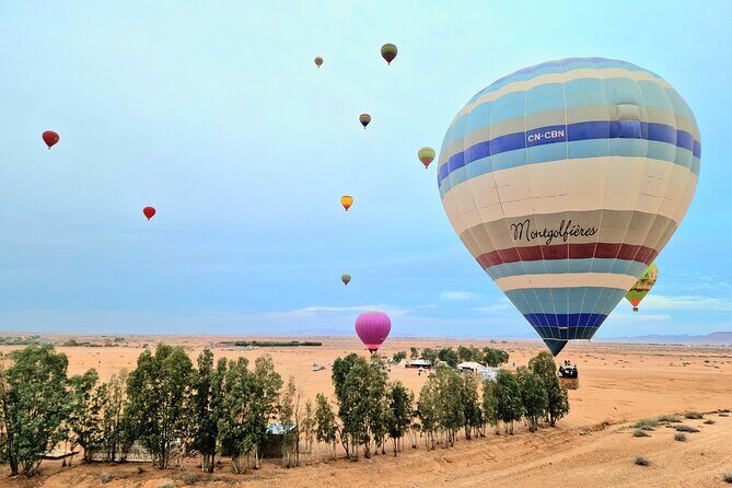 Hot air balloon flight at sunrise in Marrakech & breakfast - Why This Tour Offers Great Value