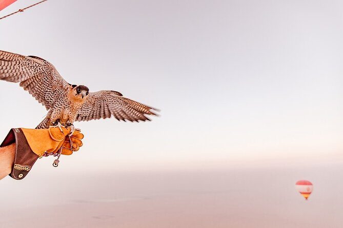 Hot Air Balloon Ride & In-flight Falcon Show including Transfers - The Itinerary: What to Expect