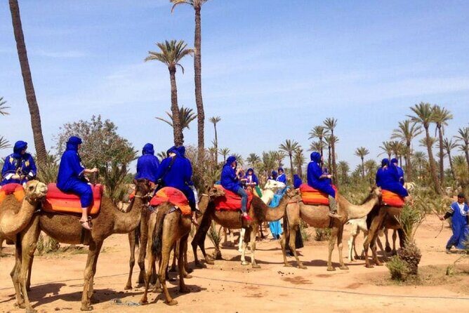 Hot air balloon with breakfast in Marrakech - The Experience from the Reviews