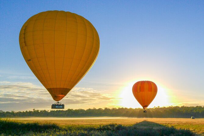 Hot Air Ballooning Tour from Northern Beaches near Cairns - An In-Depth Look at the Cairns Hot Air Balloon Experience