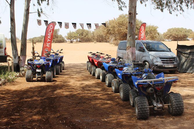 Hot spring and Atlas mountains quad biking tour - Authentic Experiences and Customer Feedback