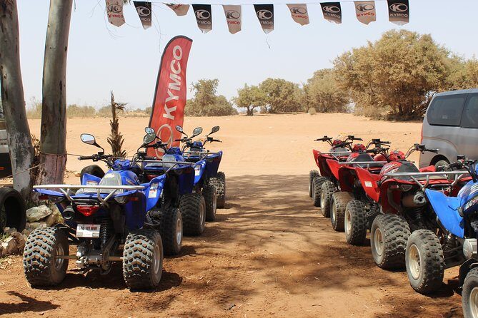 Hot spring and Atlas mountains quad biking tour - Who Will Love This Tour?