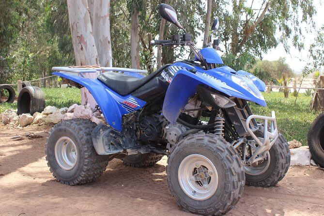 Hot spring and Atlas mountains quad biking tour - The Sum Up: A Fun and Authentic Moroccan Adventure