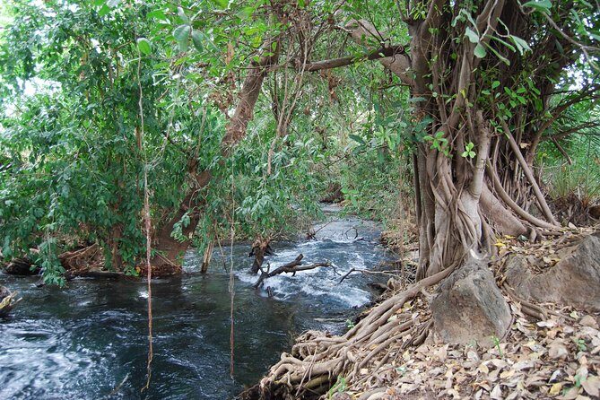 Hot Spring Day Trip - Who Will Love This Tour?