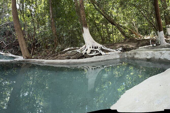 Hot Springs All Inclusive Relaxing Tour - Additional Activities and Experiences