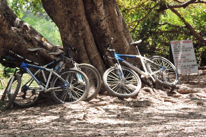 Hot Springs Bike tour - Who Will Love This Tour?