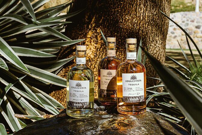 Hot Springs, Foot Massage & Tequila Tasting - Who Will Love This Tour?