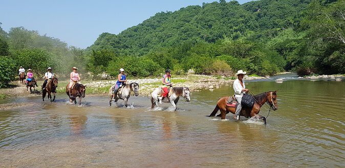 Hot Springs Horseback Riding Adventure - Introduction