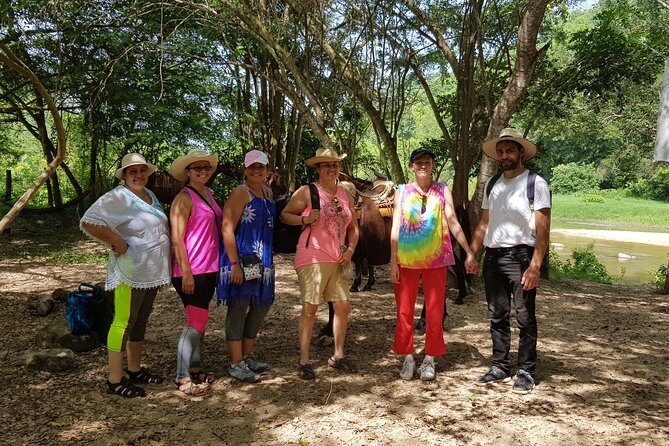 Hot Springs Horseback Riding Adventure - Key Points