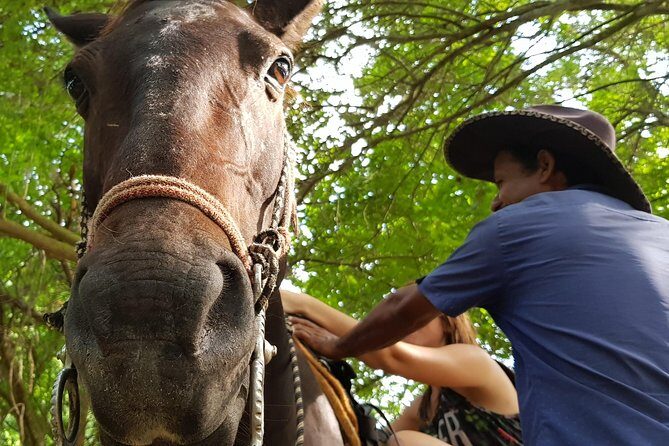 Hot Springs Horseback Riding Adventure - What Travelers Say