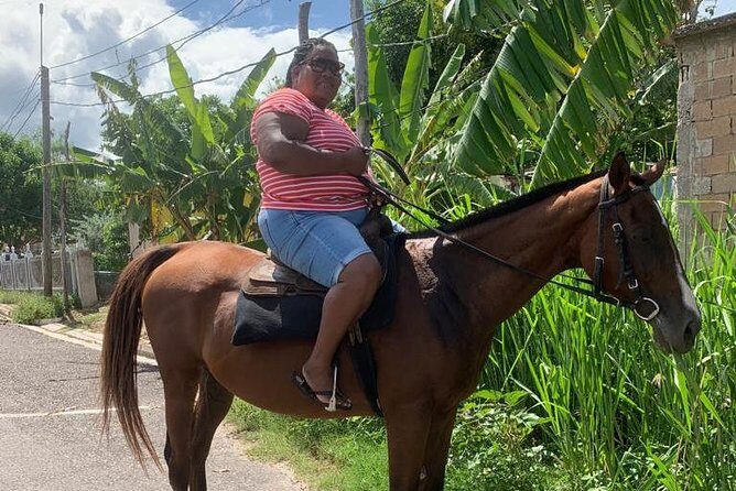 Hour Horseback Riding Guided Tour from Runaway Bay - Key Points