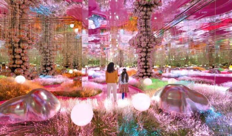 House of Hype Beautiful Immersive Wonderland - DUBAI MALL - Key Points