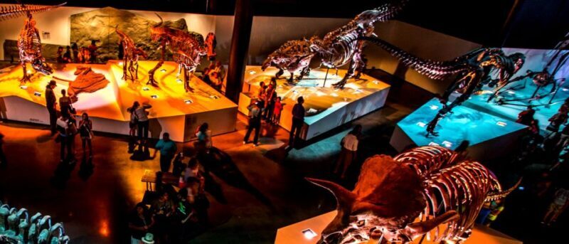 Houston: 1-Day or 3-Day Museum Pass - What Is the Houston Museum Pass All About?