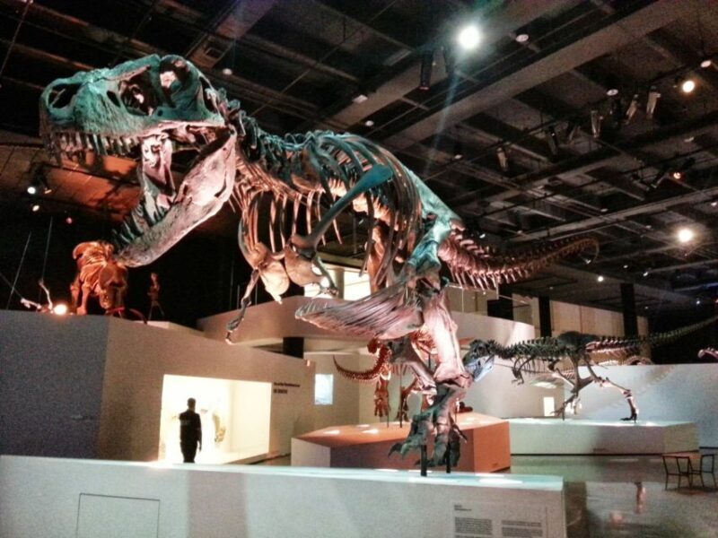 Houston CityPASS®: Save up to 51% at 5 Top Attractions - FAQ