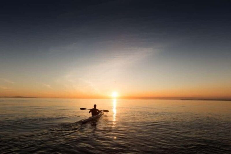 Houston: Kayak and Paddleboard Rental - Exploring Houston from the Water: What to Expect