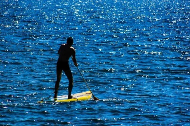 Houston: Kayak and Paddleboard Rental - Practical Details: Cost, Timing, and Group Size