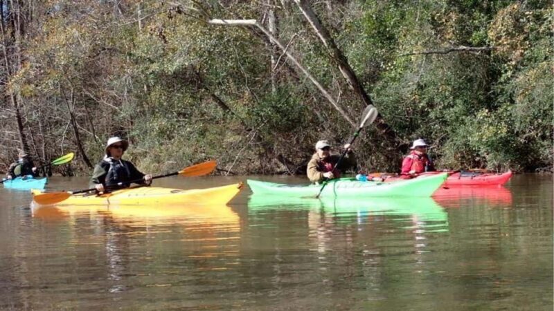 Houston: Luce Bayou Kayaking Tour - Key Points