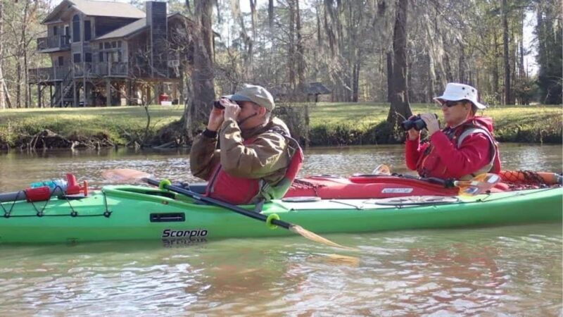 Houston: Luce Bayou Kayaking Tour - An Authentic Look at Luce Bayou Kayaking